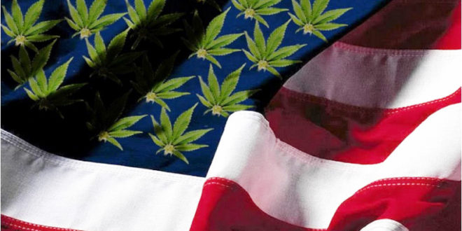 Senators File Bill to Legalize Medical Marijuana for Military Veterans